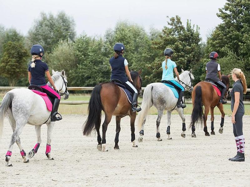 L’équitation estce un sport ? Les filles ET le sport L’équitation estce un sport ? Les filles ET le sport